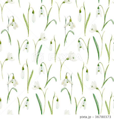 Watercolor floral pattern 36780373
