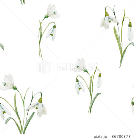 Watercolor floral pattern 36780378
