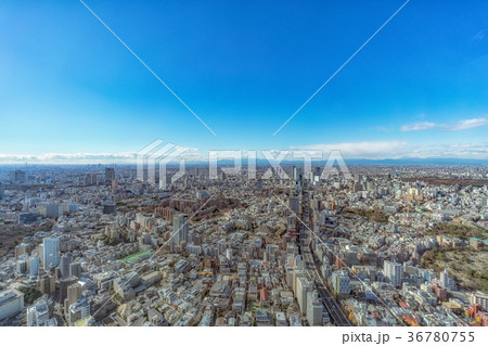 東京シティビューからの昼景 東京シティビューからの昼景 36780755