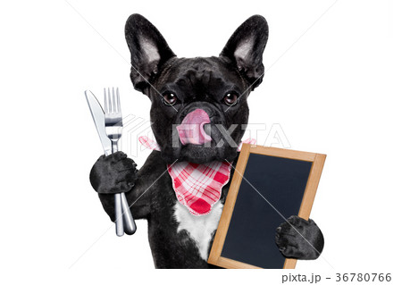 hungry dog  with blackboard 36780766