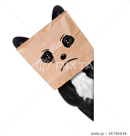 sad crying dog 36780836