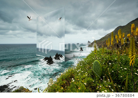 Art work of the beach in Canary Islands Art work of the beach in Canary Islands 36780884