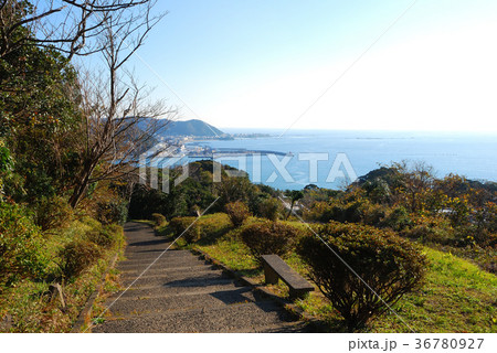 披露山公園　神奈川県逗子市の風景 36780927