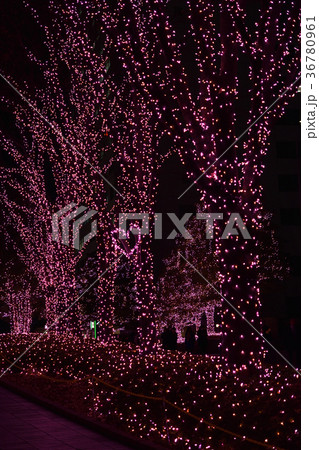 新宿ミナミルミ 36780961