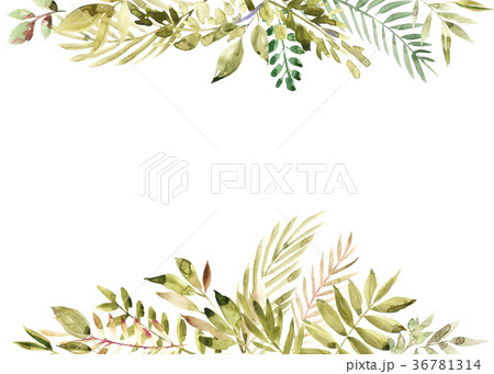 Watercolor hand painted green floral banner 36781314