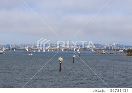 サンディエゴ湾の風景（アメリカ合衆国・カリフォルニア州） 36781435