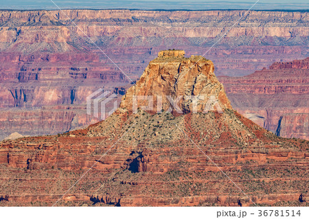 Grand canyon North Rim Landscape 36781514
