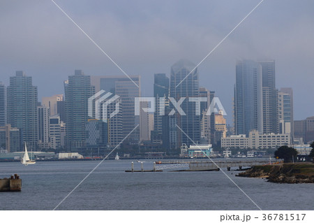 サンディエゴ湾の風景（アメリカ合衆国・カリフォルニア州） 36781517