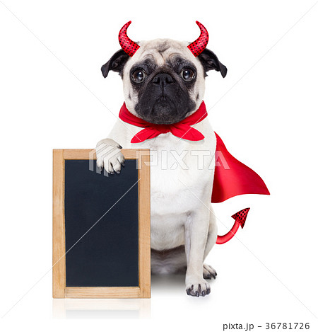 halloween devil dog 36781726