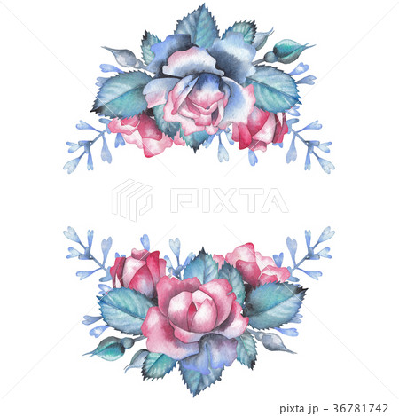 Watercolor rose vignette Watercolor rose vignette 36781742