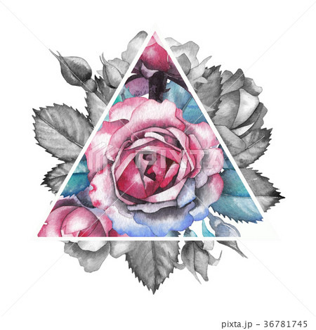 Watercolor rose vignette 36781745