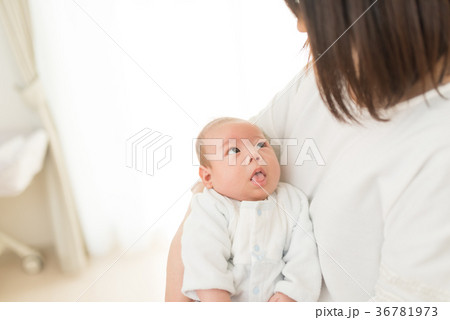 子育て 子育て 36781973