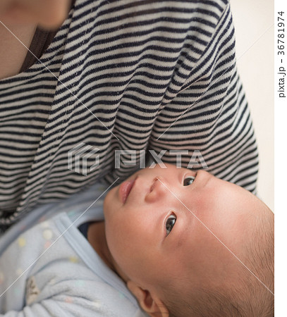 育児 育児 36781974