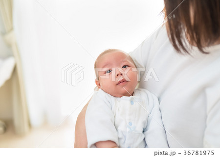 子育て 子育て 36781975