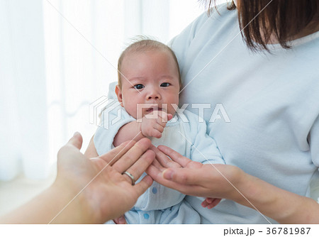 子育て 36781987