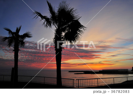 夕日に染まる西方海岸 36782083