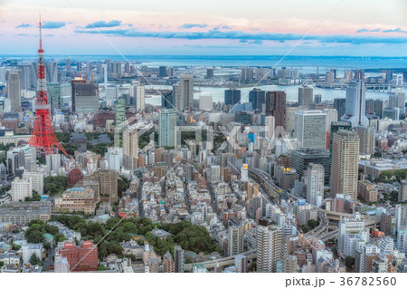 ［東京］東京シティビューからの都市風景 36782560