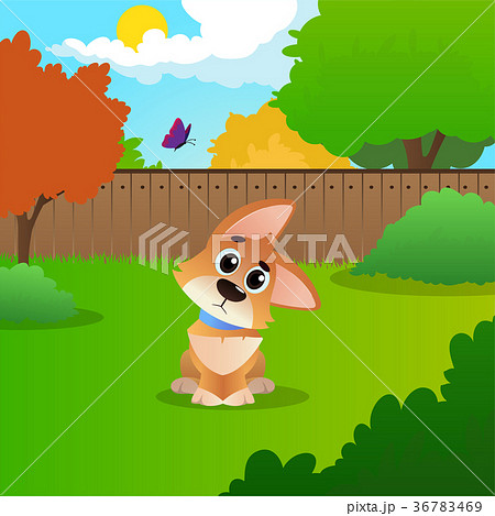 Wondering cartoon corgi sitting on backyard. Sunny Wondering cartoon corgi sitting on backyard. Sunny 36783469