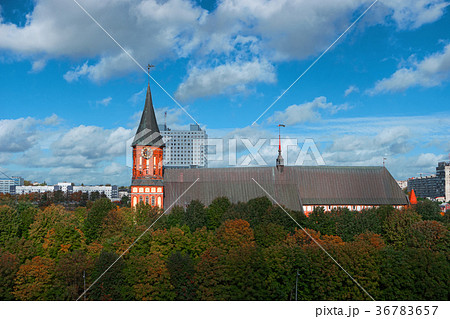 Cityscape of Kaliningrad, Russia, Europe 36783657