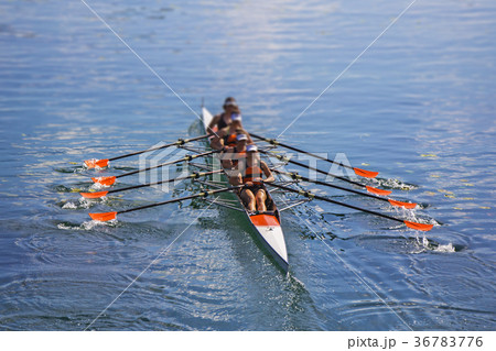 Team of rowing Four-oar women in boat 36783776
