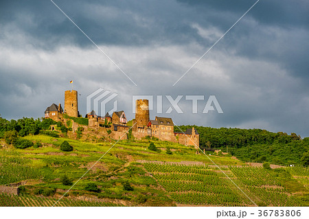 Thurant Castle and vineyards above Moselle river Thurant Castle and vineyards above Moselle river 36783806