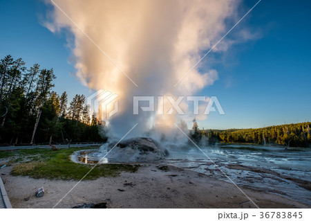 Grotto Geyser in Yellowstone National Park 36783845