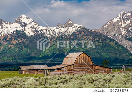 Old barn in Grand Teton Mountains 36783873