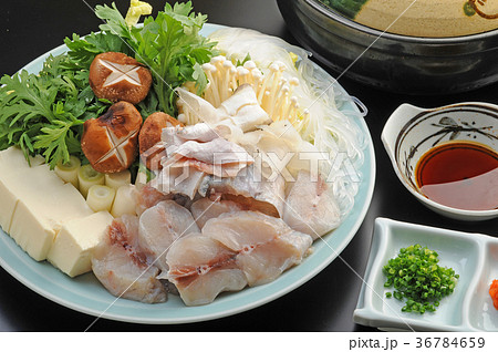 たら鍋　冬の味覚 36784659