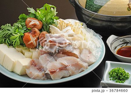 たら鍋　冬の味覚 36784660