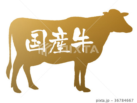 国産牛 36784667