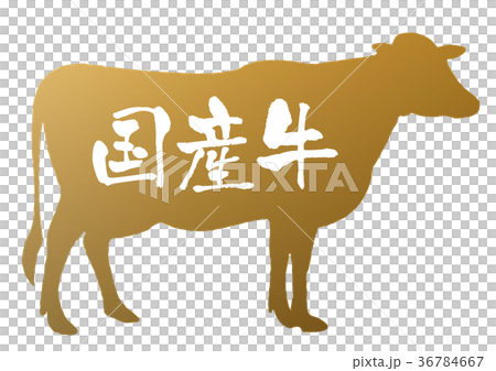 国産牛 36784667