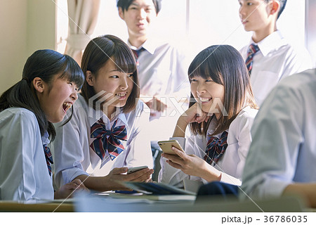 学生 - 休み時間 - 談笑 36786035