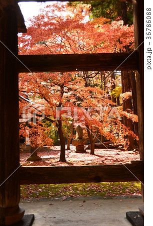 山門の柱を額縁として見る境内 36786088