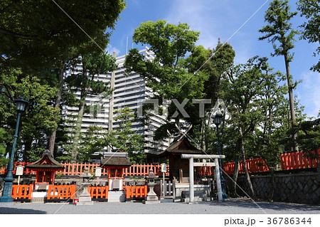 伏見稲荷大社 伏見稲荷大社 36786344