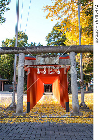 箭弓稲荷神社　埼玉県東松山市 36786472