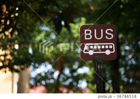 公園の緑とバス停の看板 36786518