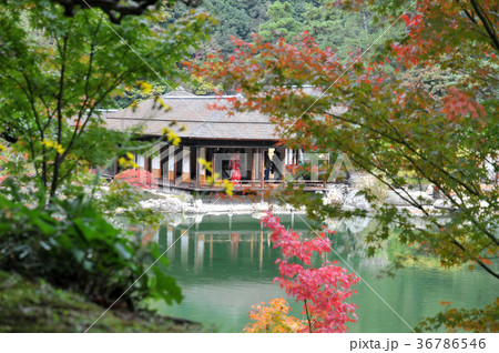 庭園・花嫁 庭園・花嫁 36786546