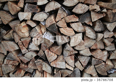 Firewood texture background 36786708