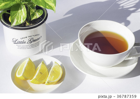 紅茶とレモン 36787359