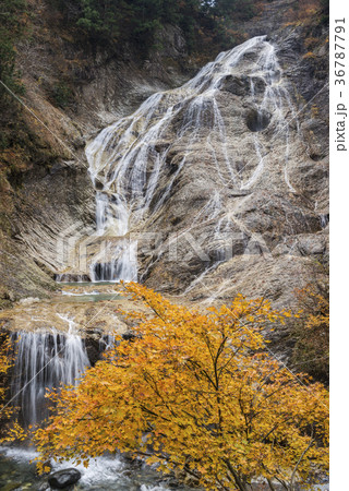 黄葉の姥ヶ滝 36787791