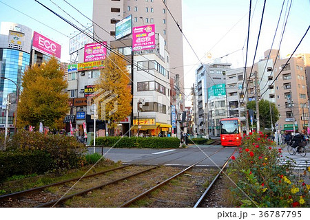 都営荒川線の走る大塚の景色 36787795