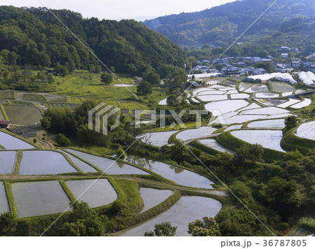 奈良県明日香村稲渕の棚田 ドローン撮影 の写真素材