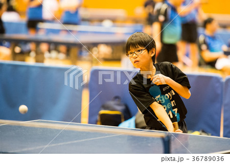 卓球少年 36789036