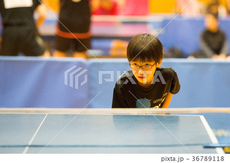 卓球少年 卓球少年 36789118