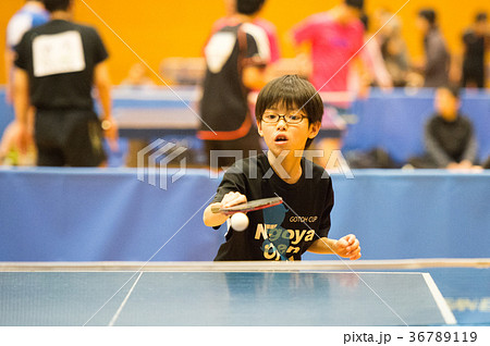 卓球少年 36789119