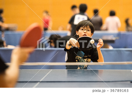 卓球少年 卓球少年 36789163