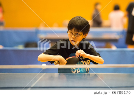 卓球少年 卓球少年 36789170