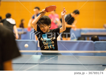 卓球少年 卓球少年 36789174