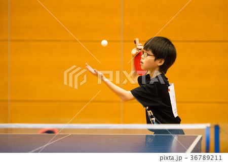 卓球少年 36789211