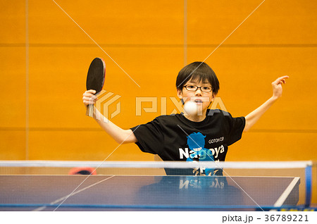 卓球少年 卓球少年 36789221